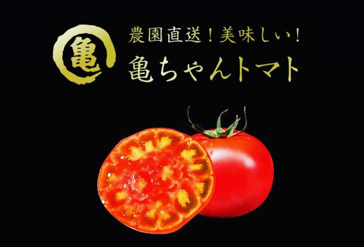 imgi_2_418047177_1126317001697101_651685420693384950_n