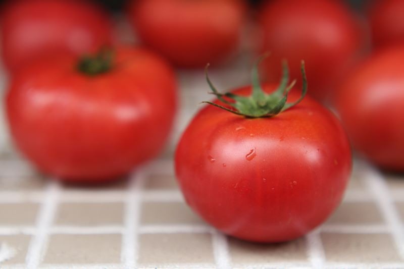 imgi_9_w019_2014062714485397536