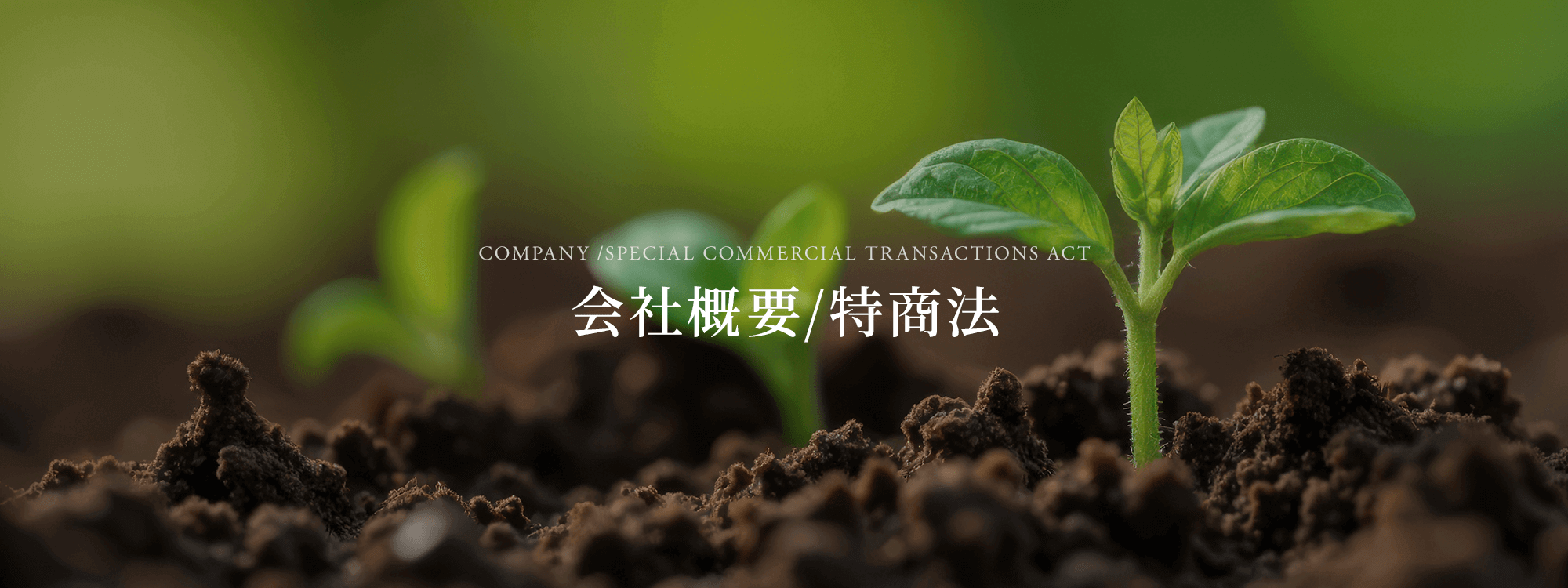会社概要/特商法